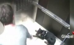 Ünlü iş adamı asansörde köpeğini tekmelerken görüntülendi