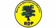 Diyarbakır Lice'de BDP adayı Rezan Zuğurli kazandı