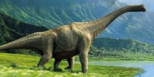 Uçak büyüklüğünde dinozor fosili!