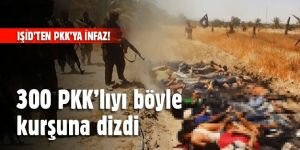 IŞİD 300 PKK'lıyı kurşuna dizdi