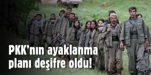 PKK'nın ayaklanma planı deşifre oldu