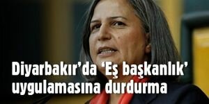 Diyarbakır'da 'eş başkanlık' uygulamasına durdurma