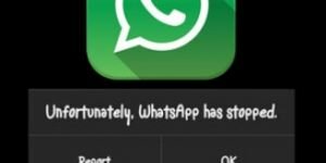 WhatsApp uzaktan çökertilebiliyor