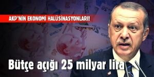AKP'nin ekonomi halüsinasyonları!