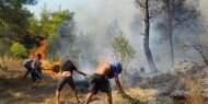 ​Manavgat’ta orman yangını