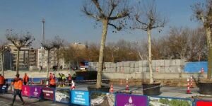 Taksim Meydanı'na 6 ağaç dikildi